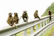 02-tanzania-003