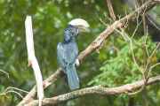 02-tanzania-013