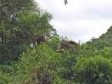 02-tanzania-014