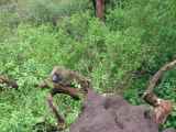 02-tanzania-015