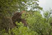 02-tanzania-017