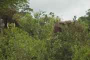 02-tanzania-018