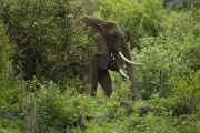 02-tanzania-021