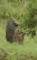 02-tanzania-023