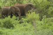 02-tanzania-024