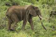 02-tanzania-025