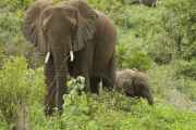 02-tanzania-026