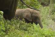 02-tanzania-027