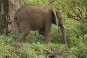 02-tanzania-028