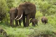 02-tanzania-029