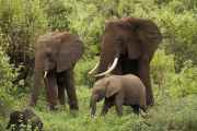 02-tanzania-030