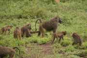 02-tanzania-032