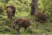 02-tanzania-033