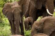 02-tanzania-035
