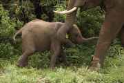 02-tanzania-036
