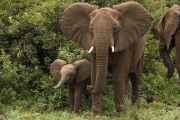 02-tanzania-037