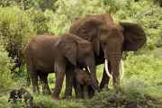 02-tanzania-038
