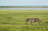 02-tanzania-111