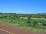 03-tanzania-05