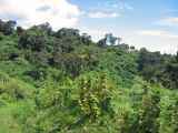 03-tanzania-09