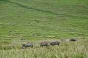 03-tanzania-14