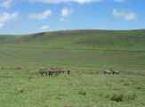 03-tanzania-15