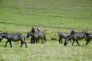 03-tanzania-16