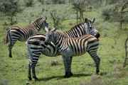 03-tanzania-17