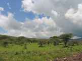 03-tanzania-18