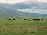 03-tanzania-19