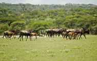 03-tanzania-20