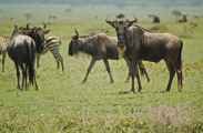 03-tanzania-22