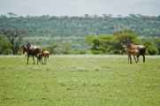 03-tanzania-23
