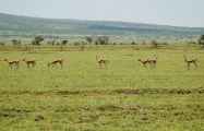 03-tanzania-24