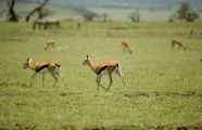 03-tanzania-25