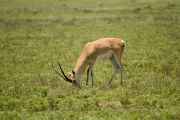 03-tanzania-27