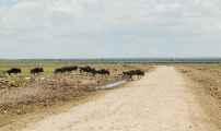 03-tanzania-29