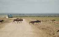 03-tanzania-30