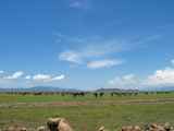 03-tanzania-32