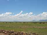 03-tanzania-33