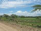 03-tanzania-36