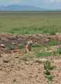 03-tanzania-40