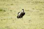 03-tanzania-44