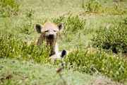 03-tanzania-45
