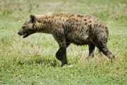 03-tanzania-46