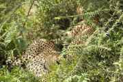 03-tanzania-49