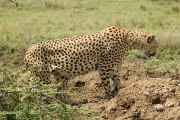 03-tanzania-50