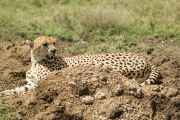 03-tanzania-51