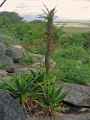 03-tanzania-62