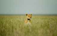 03-tanzania-67